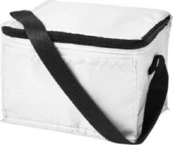 Koeltas - Mini Koeltas - Geschikt Voor 6 Blikjes - Compact Koeltas + 2 Koelelementen - Rheme -Home Furniture Shop 1200x1001