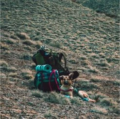 LOWLAND OUTDOOR® Donzen Slaapzak - Super Compact Blanket - 210 X 80 Cm - 590gr +8°C -Home Furniture Shop 1200x1196 8