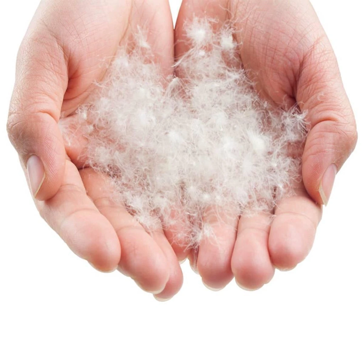 LOWLAND OUTDOOR® Donzen Slaapzak - CC 1 - 200 X 80 Cm - 1725 Gr - 0°C - Katoen 4 LOWLAND OUTDOOR® Donzen Slaapzak - CC 1 - 200 X 80 Cm - 1725 Gr - 0°C - Katoen - Afbeelding 4