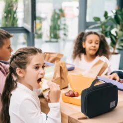 Brisby 4 Laags Geïsoleerde Koeltas - Lunchtas 1.5 Liter - Zwart -Home Furniture Shop 1200x1200 293